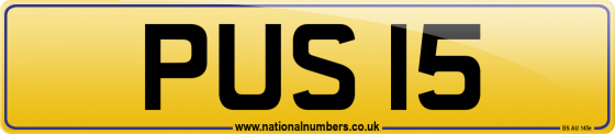 PUS 15