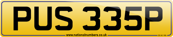 PUS 335P
