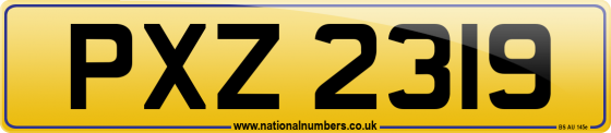 PXZ 2319