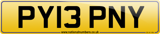 PY13 PNY
