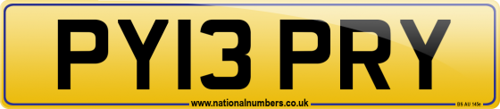 PY13 PRY