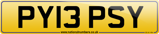 PY13 PSY