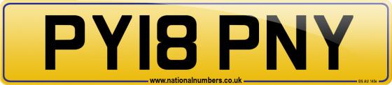 PY18 PNY
