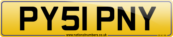 PY51 PNY