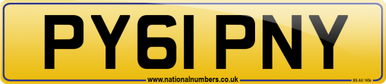 PY61 PNY