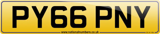 PY66 PNY