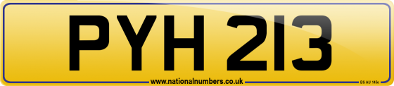 PYH 213
