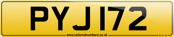 PYJ 172