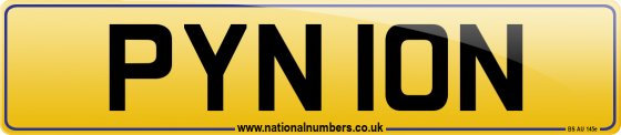 PYN 10N