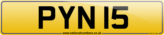 PYN 15