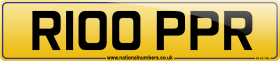 R100 PPR