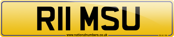R11 MSU