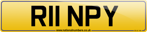 R11 NPY