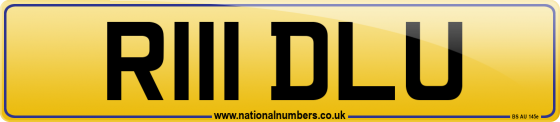 R111 DLU