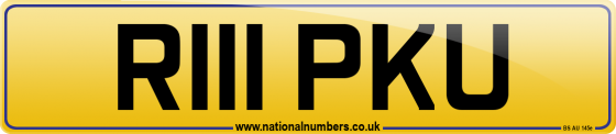R111 PKU