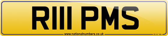 R111 PMS