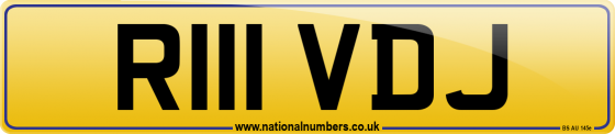 R111 VDJ