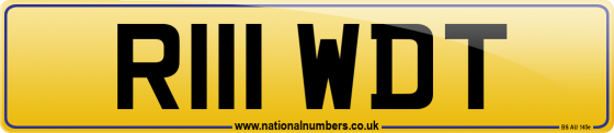 R111 WDT