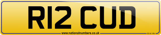 R12 CUD