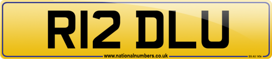 R12 DLU