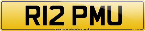 R12 PMU