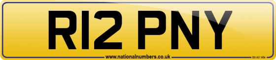 R12 PNY