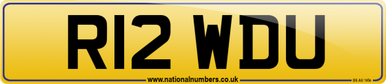 R12 WDU
