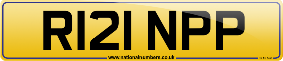 R121 NPP