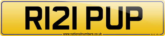 R121 PUP
