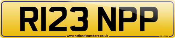 R123 NPP