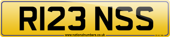 R123 NSS