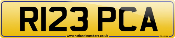 R123 PCA