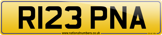 R123 PNA
