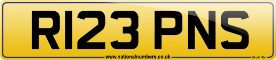 R123 PNS