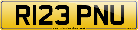 R123 PNU