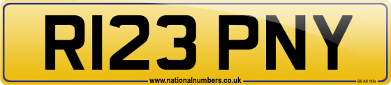 R123 PNY