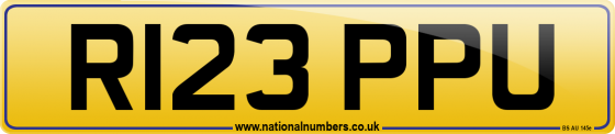 R123 PPU