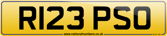 R123 PSO