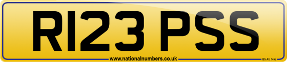 R123 PSS