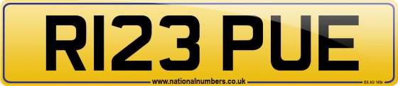 R123 PUE