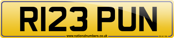 R123 PUN