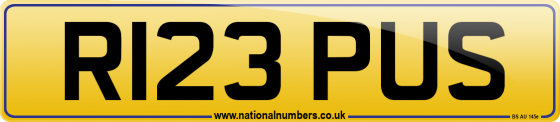 R123 PUS