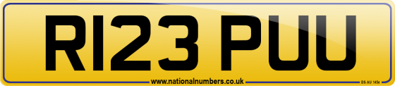 R123 PUU