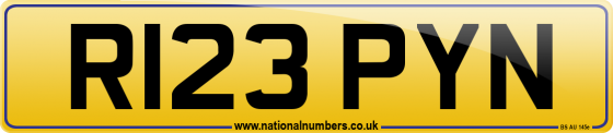 R123 PYN