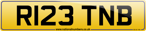 R123 TNB
