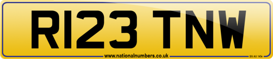 R123 TNW