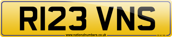 R123 VNS