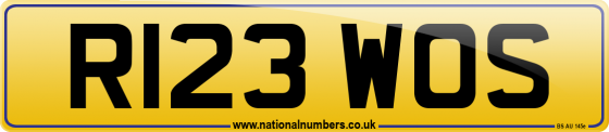 R123 WOS