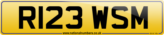 R123 WSM