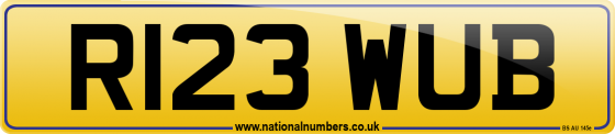 R123 WUB